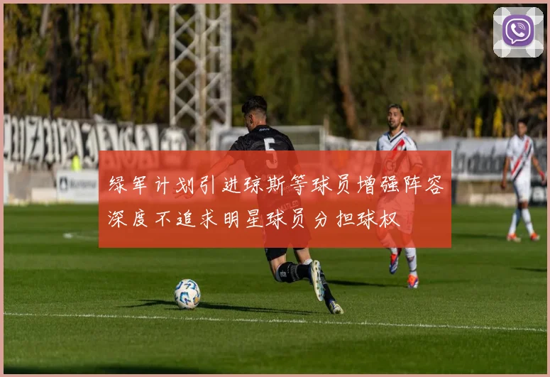 绿军计划引进琼斯等球员增强阵容深度不追求明星球员分担球权